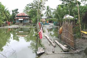Sundarbans shrinking